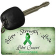 Liver Cancer Novelty Metal Key Chain KC-8312