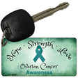 Ovarian Cancer Novelty Metal Key Chain KC-8317