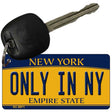 Only In NY New York State License Plate Tag Key Chain KC-8971