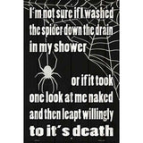 Spider Down the Drain Novelty Metal Parking Sign 12" x 18" (LGP)