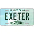 Exeter New Hampshire State License Plate 24" x 12" (LLP)