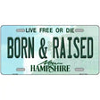 Born and Raised New Hampshire State License Plate 24" x 12" (LLP)