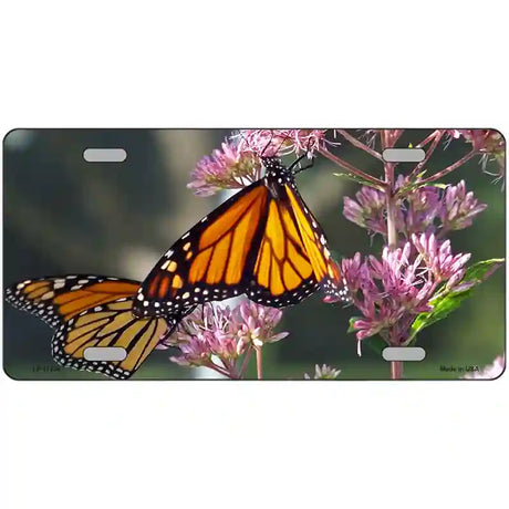 Butterfly Monarch On Flower Novelty Metal License Plate 24" x 12" (LLP)