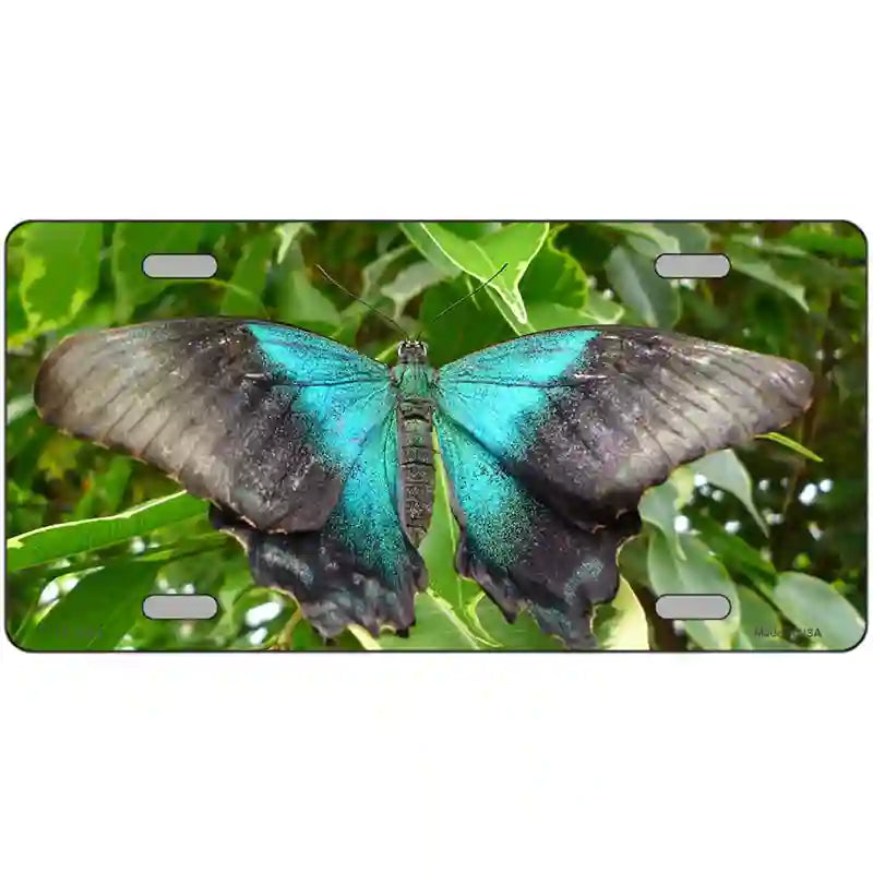 Butterfly Blue and Black Novelty Metal License Plate 24" x 12" (LLP)