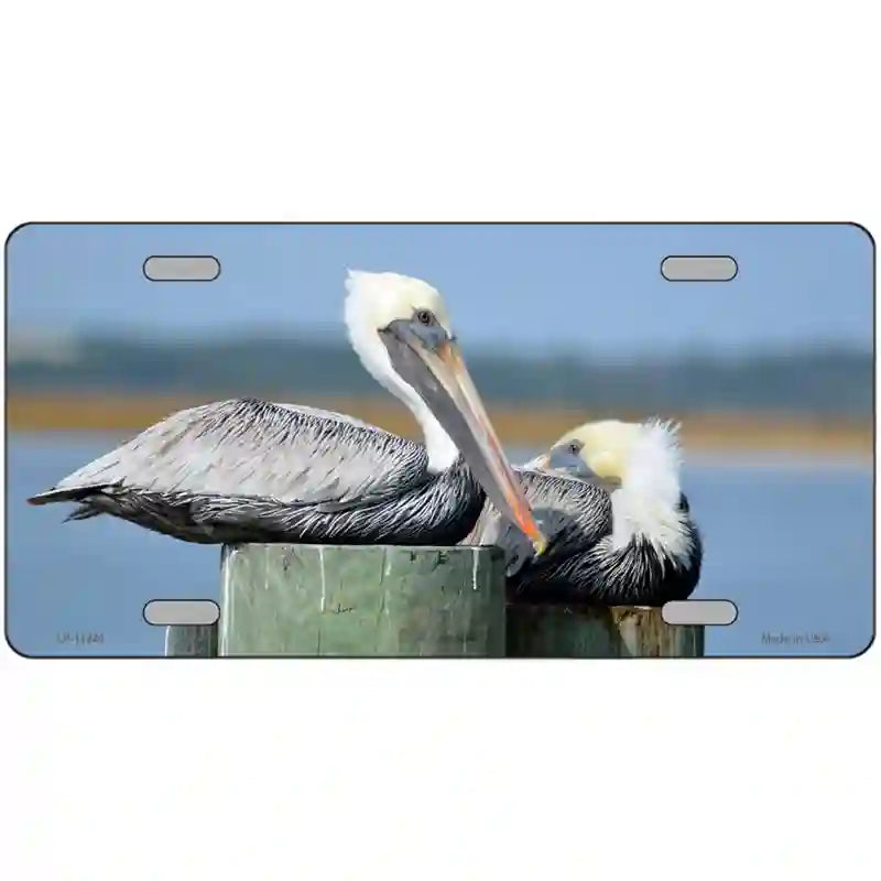 Pelican Two On Pier Novelty Metal License Plate 24" x 12" (LLP)