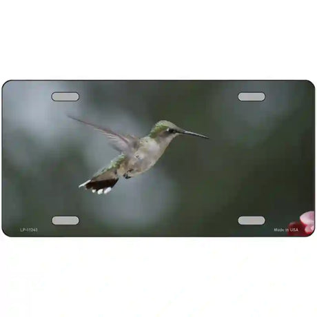 Hummingbird In Flight Novelty Metal License Plate 24" x 12" (LLP)