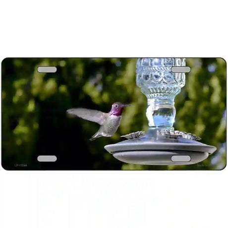 Hummingbird At Feeder Novelty Metal License Plate 24" x 12" (LLP)