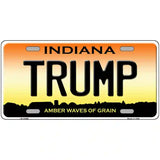 Trump Indiana Novelty License Plate 24" x 12" (LLP)