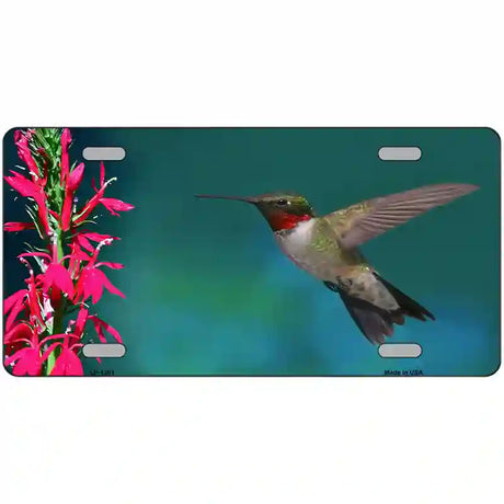 Humming Bird Novelty Metal License Plate 24" x 12" (LLP)