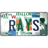 Rays Strip Art Novelty Metal License Plate Tag 24" x 12" (LLP)