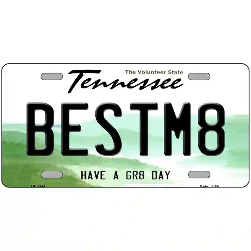 Best Mate Novelty Metal License Plate Tag 24" x 12" (LLP)