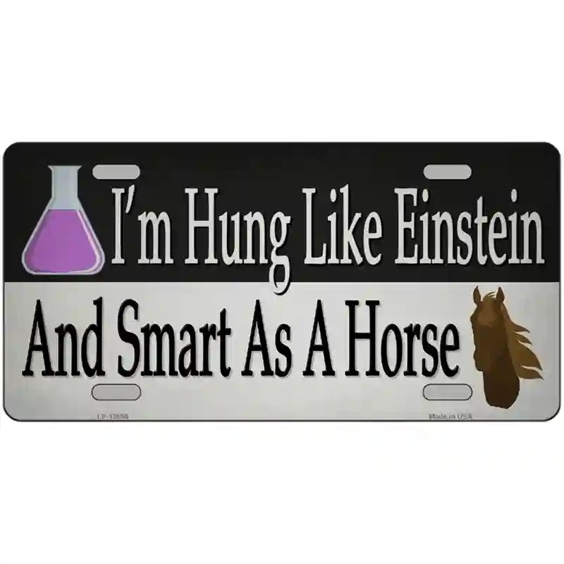 Hung Like Einstein Novelty Metal License Plate Tag 24" x 12" (LLP)