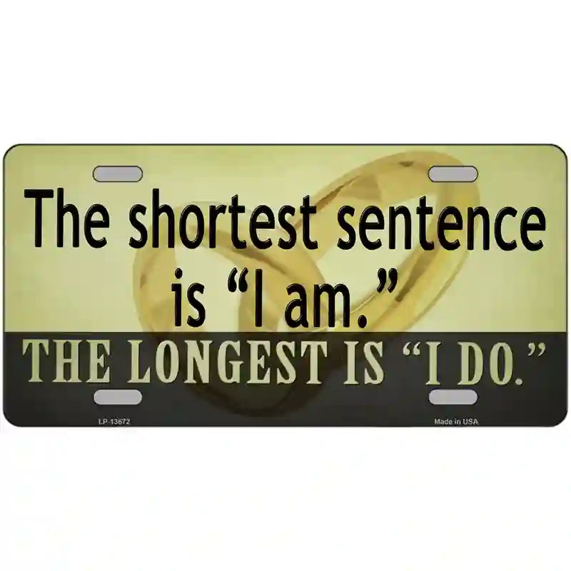 Longest Sentence I Do Novelty Metal License Plate Tag 24" x 12" (LLP)