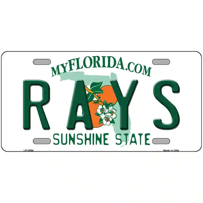 Rays Florida State Metal Novelty License Plate 24" x 12" (LLP)