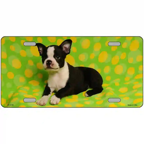 Boston Terrier Dog Metal Novelty License Plate 24" x 12" (LLP)