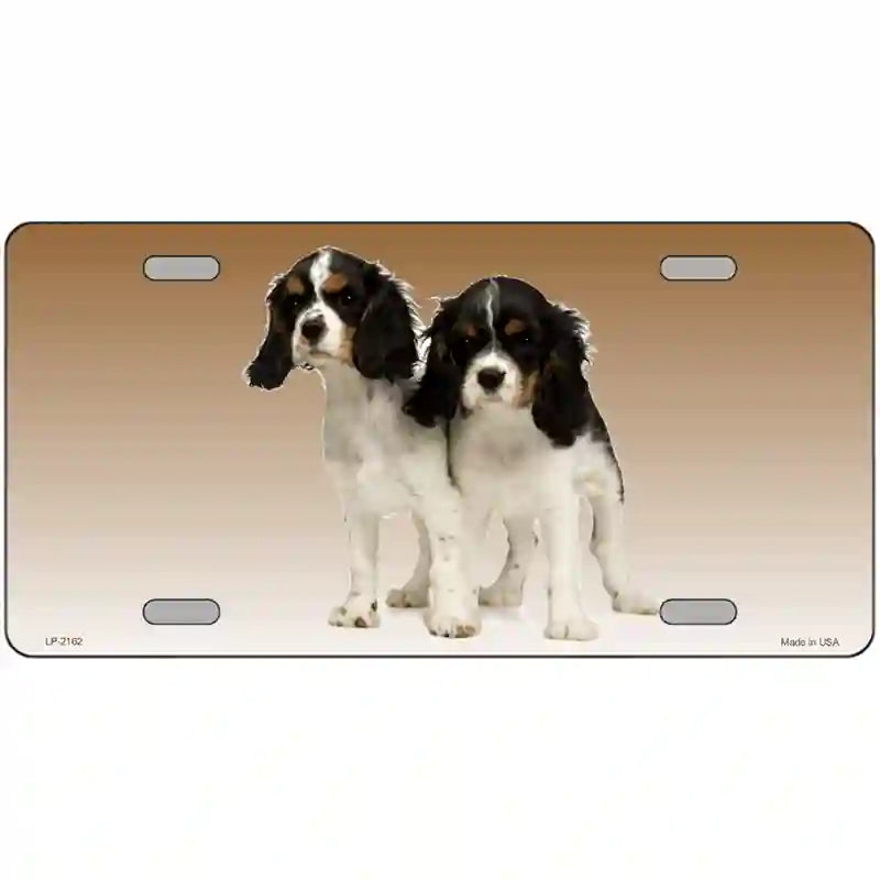 Cavalier King Charles Spaniel Dog Metal Novelty License Plate 24" x 12" (LLP)