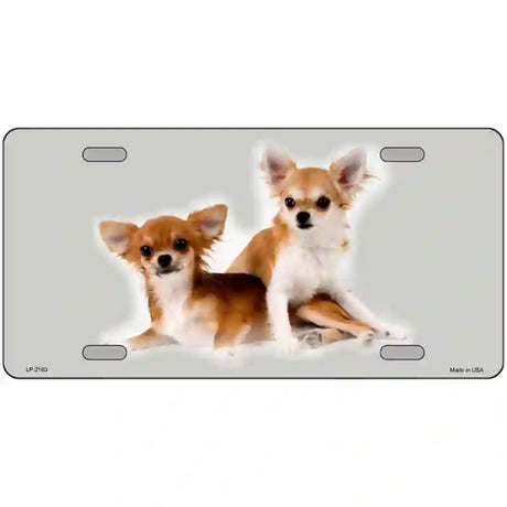 Chihuahua Dog Metal Novelty License Plate 24" x 12" (LLP)