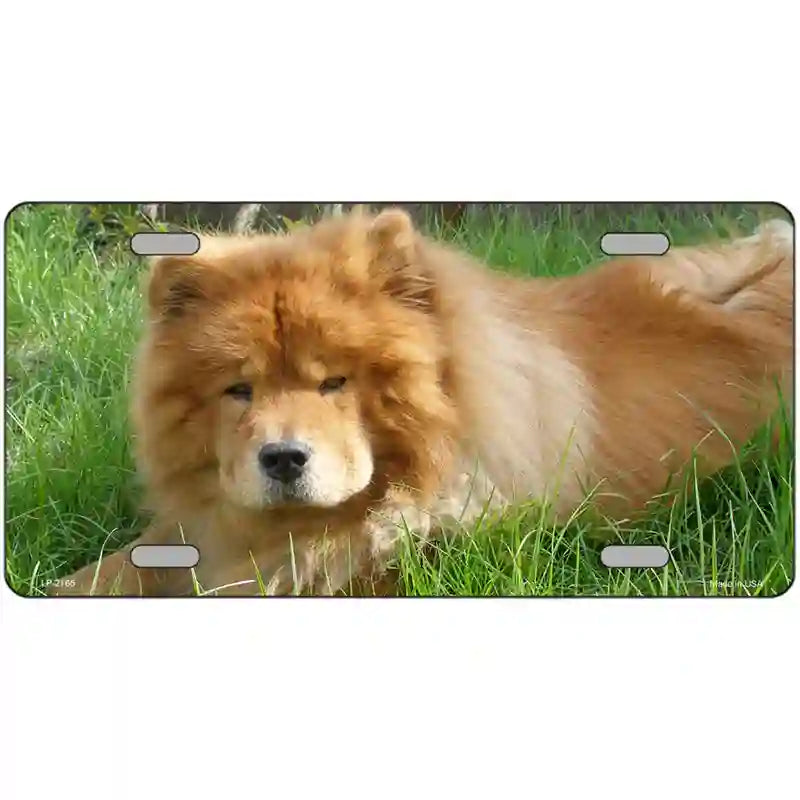 Chow Chow Dog Metal Novelty License Plate 24" x 12" (LLP)