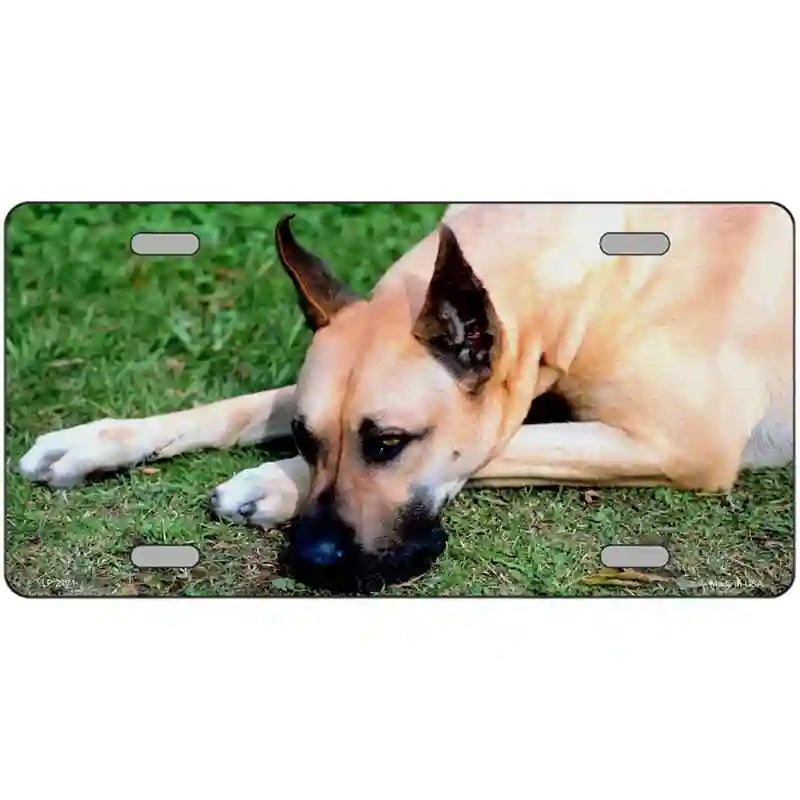 Great Dane Dog Metal Novelty License Plate 24" x 12" (LLP)