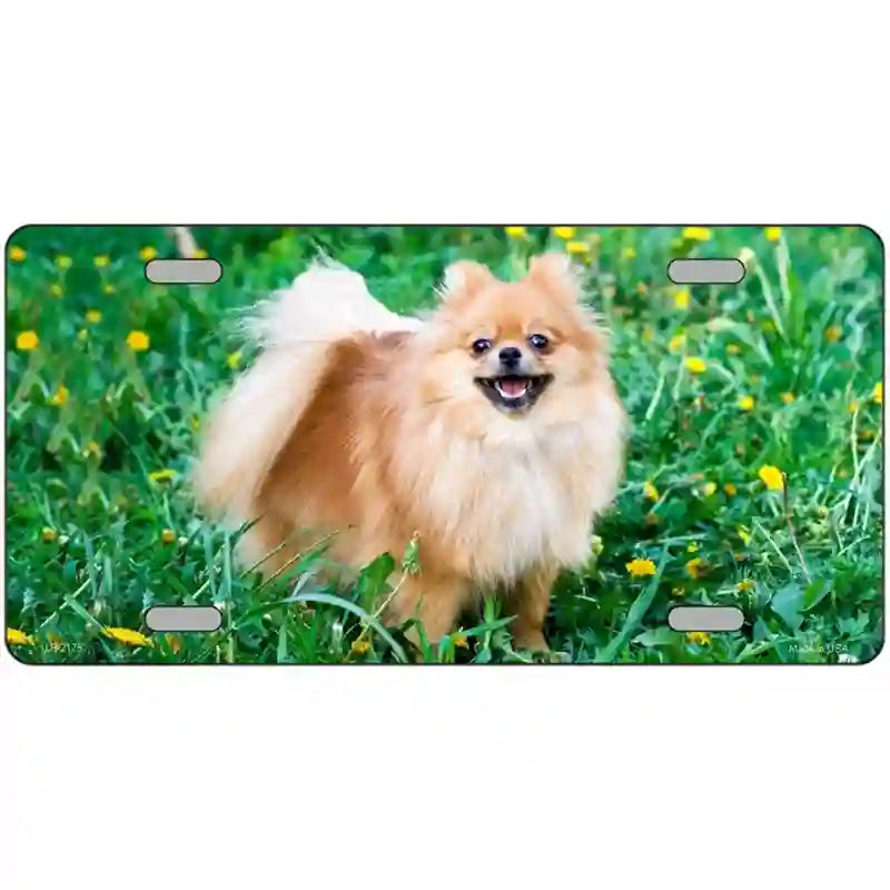 Pomeranian Dog Metal Novelty License Plate 24" x 12" (LLP)