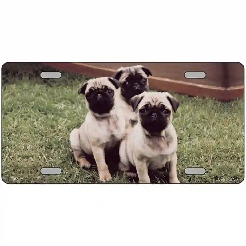 Pug Dog Metal Novelty License Plate 24" x 12" (LLP)