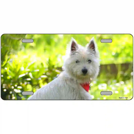 West Highland Dog Terrier Metal Novelty License Plate 24" x 12" (LLP)