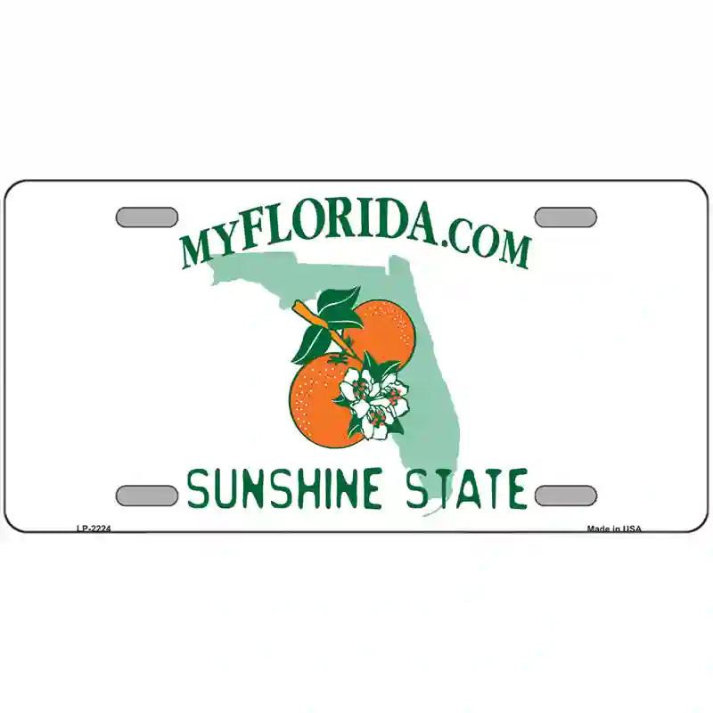 Florida State Blank Novelty Metal License Plate 24" x 12" (LLP)