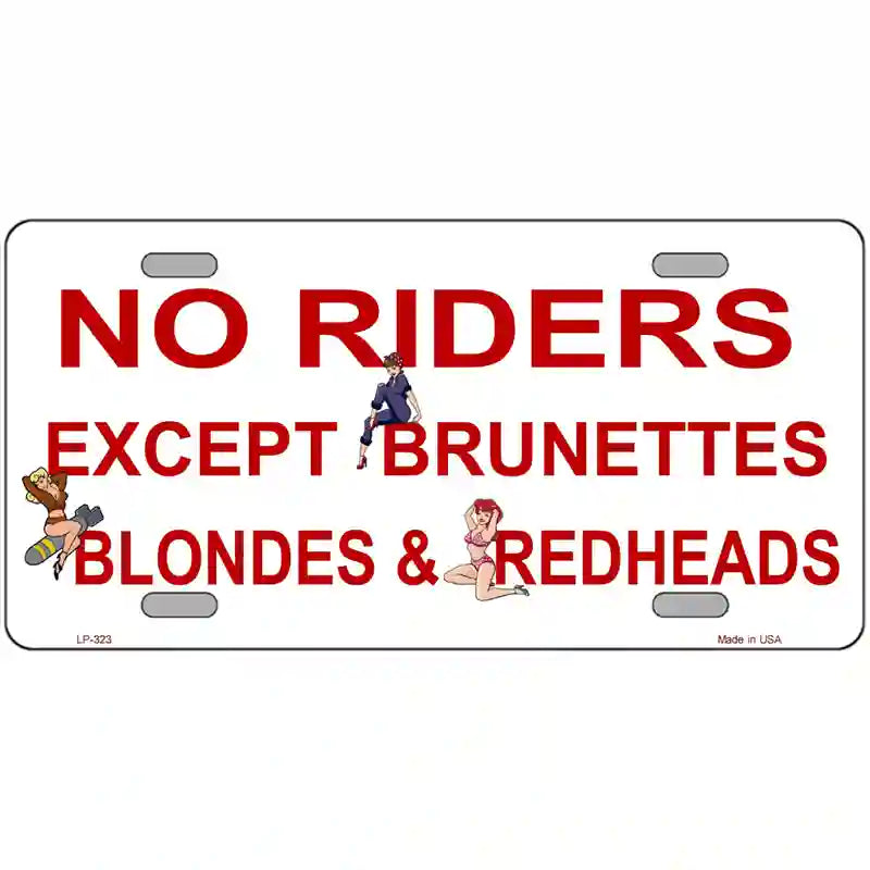 No Riders Except Metal Novelty License Plate 24" x 12" (LLP)