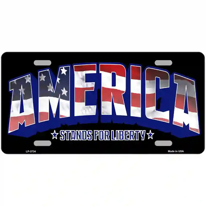 America Metal Novelty License Plate 24" x 12" (LLP)