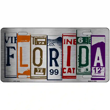 Florida License Plate Art Metal Novelty License Plate 24" x 12" (LLPC)