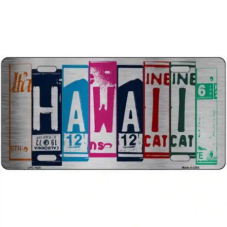 Hawaii License Plate Art Metal Novelty License Plate 24" x 12" (LLPC)