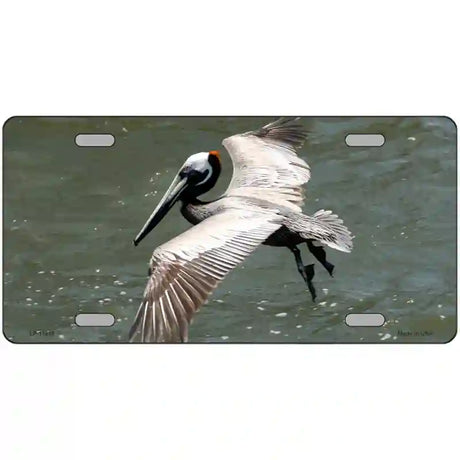 Pelican In Flight Novelty Metal License Plate 12" x 6" (LP)