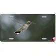 Hummingbird In Flight Novelty Metal License Plate 12" x 6" (LP)