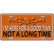 Here For A Good Time Novelty License Plate 12" x 6" (LP)