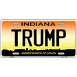 Trump Indiana Novelty License Plate 12" x 6" (LP)