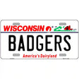 Badgers Novelty Metal License Plate 12" x 6" (LP)