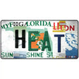 Heat Strip Art Novelty Metal License Plate Tag 12" x 6" (LP)