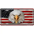 USA Eagle Metal Novelty License Plate 12" x 6" (LP)