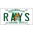 Rays Florida State Metal Novelty License Plate 12" x 6" (LP)