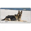 German Shepherd Dog Metal Novelty License Plate 12" x 6" (LP)