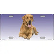 Yellow Labrador Retriever Dog Metal Novelty License Plate 12" x 6" (LP)