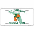 Florida State Blank Novelty Metal License Plate 12" x 6" (LP)