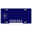 Indiana Novelty State Blank Metal License Plate 12" x 6" (LP)