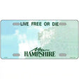 New Hampshire Novelty State Blank Metal License Plate 12" x 6" (LP)