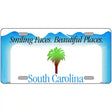 South Carolina Novelty State Blank Metal License Plate 12" x 6" (LP)