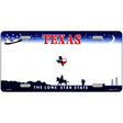 Texas Novelty State Blank Metal License Plate 12" x 6" (LP)