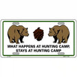 What Happens At Camp Metal Novelty License Plate 12" x 6" (LP)