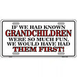 Grandchildren First Metal Novelty License Plate 12" x 6" (LP)