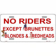 No Riders Except Metal Novelty License Plate 12" x 6" (LP)