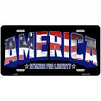 America Metal Novelty License Plate 12" x 6" (LP)